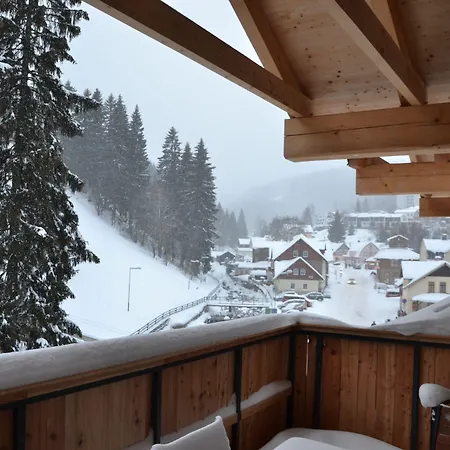 Post 페츠포드 스녜즈코우